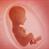 بررسی ژنتیکی جنین سقط شده (اتوپسی)